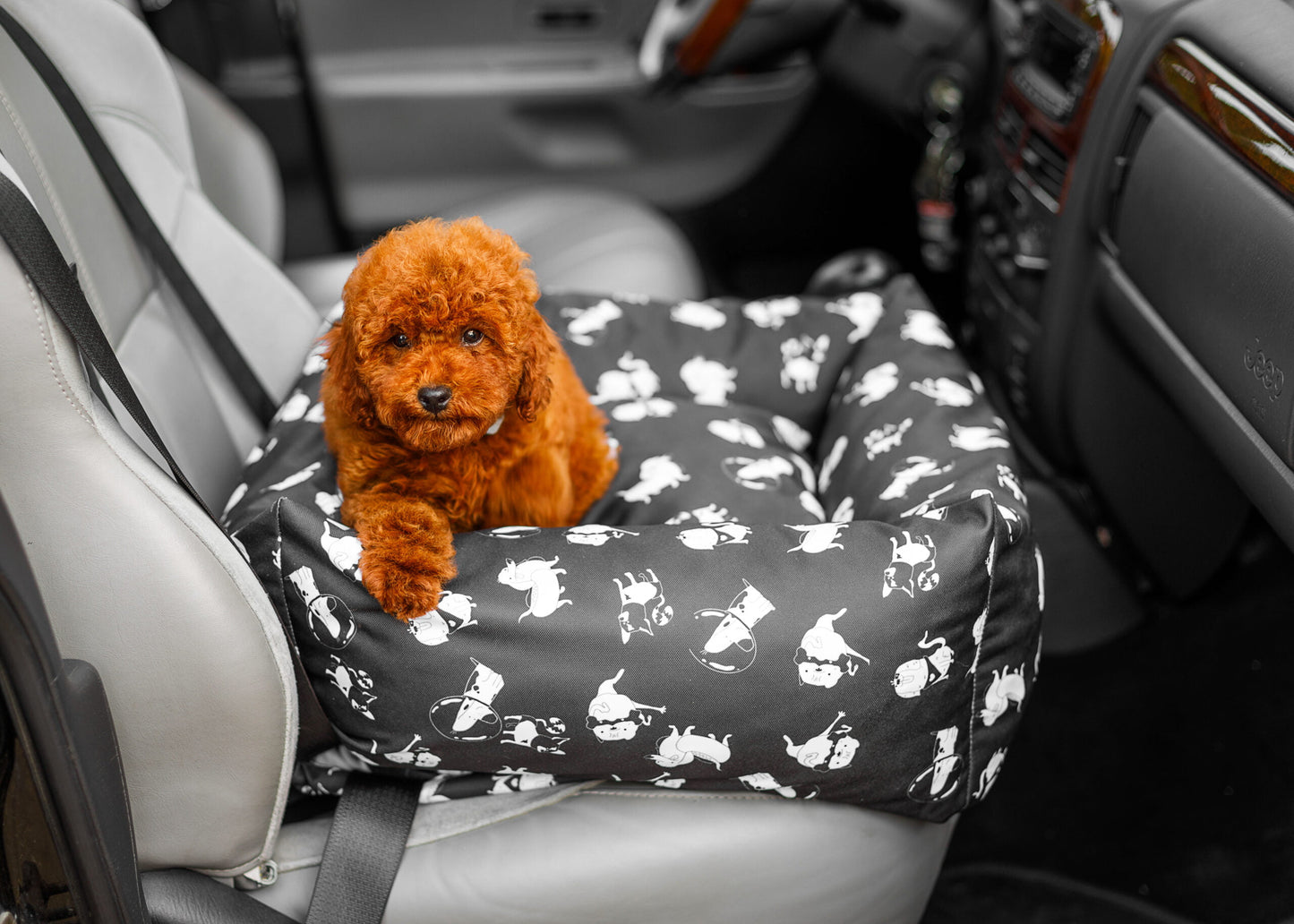 Asiento de coche para coche de cesta animood para perros julian