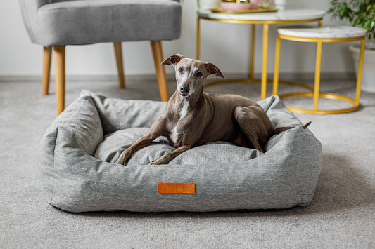 Canasta Andood en terciopelo o jeans para perros y chat Alex