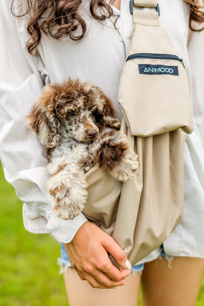 Animood Portage -Tasche für Hund und Chat Daisy