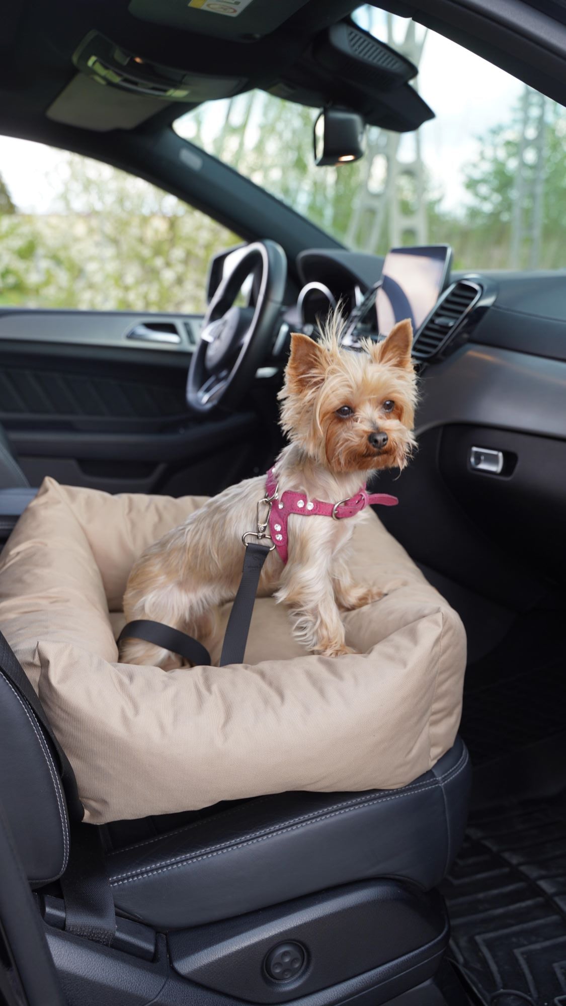 Asiento de coche para coche de cesta animood para perros julian