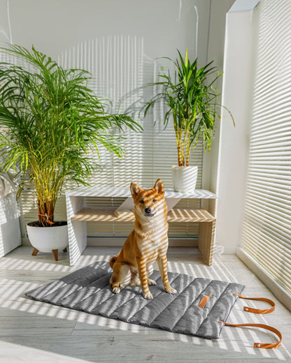 ANIMOOD Tapis de voyage pour chien et chat LUNA