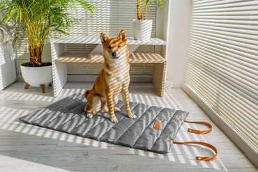 ANIMOOD Tapis de voyage pour chien et chat LUNA