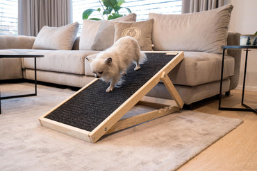 Animood ramp for cat or dog skipper