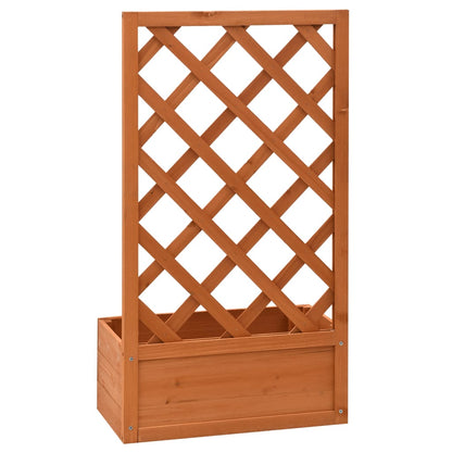 Jardinière à treillis de jardin Orange 50x25x90cm Bois de sapin